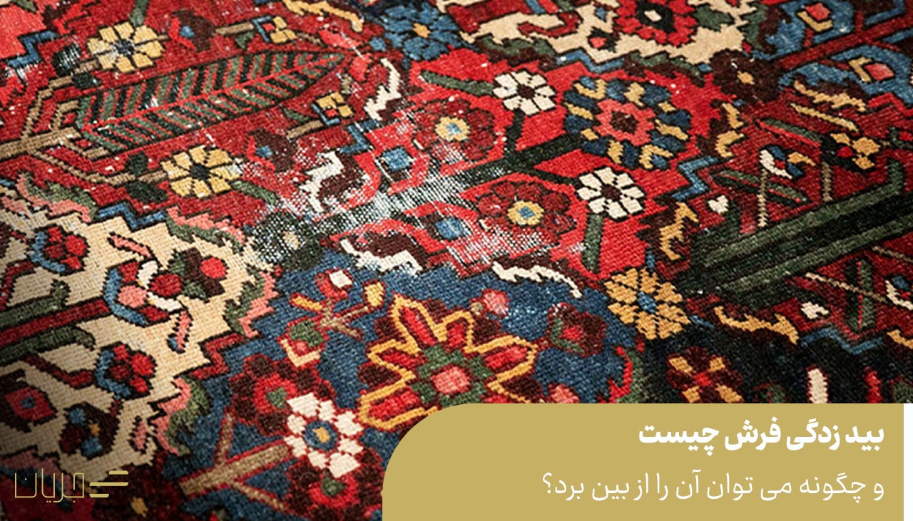 بید زدگی فرش